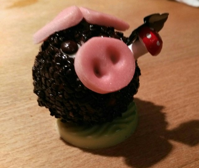 Glucksbringer img_20190101_170706-1444737237.jpg